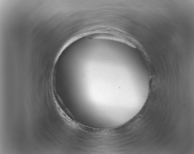 X0000054401530200508191952