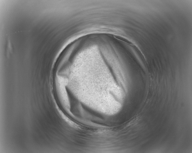 X0000054401531200508191952