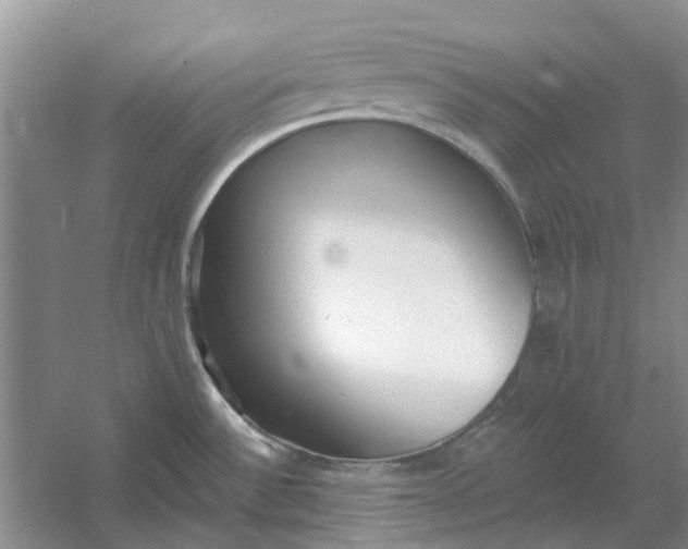 X0000054401532200508191952