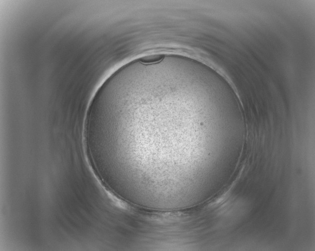 X0000054401533200508191952