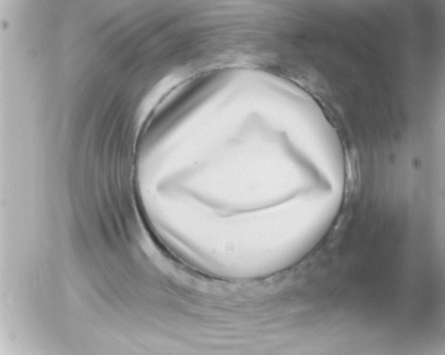 X0000054400003200508262243
