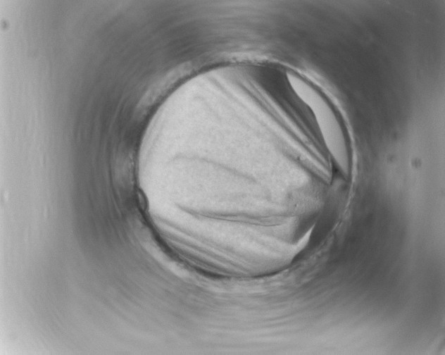 X0000054400009200508262243