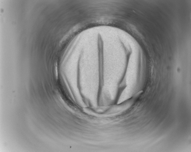 X0000054400020200508262243