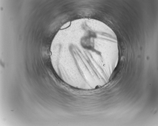 X0000054400040200508262242