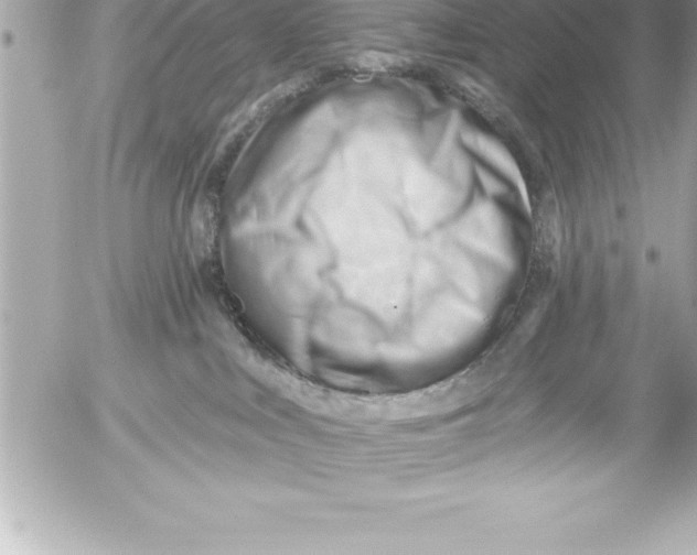 X0000054400043200508262242