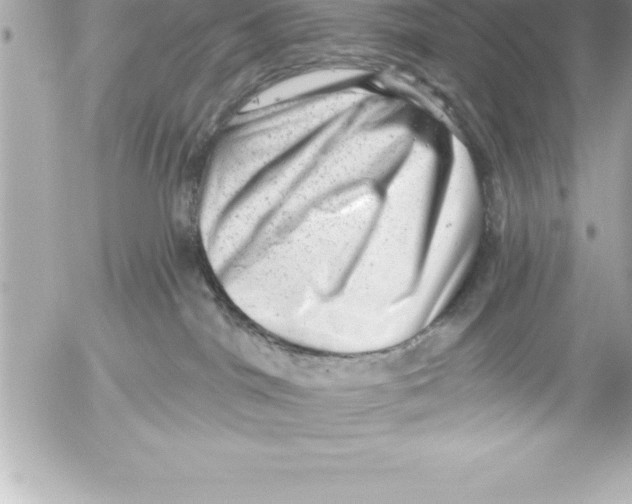 X0000054400044200508262242