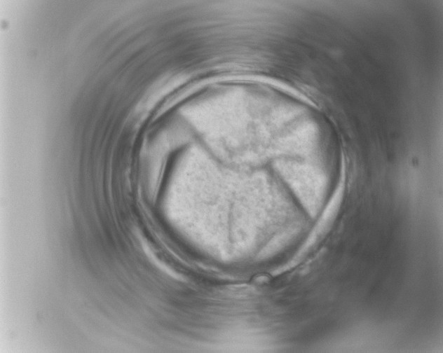 X0000054400050200508262241
