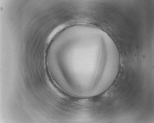 X0000054400054200508262241