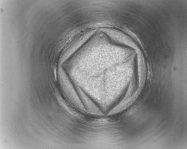 X0000054400061200508262242