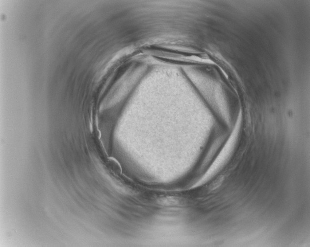X0000054400062200508262242