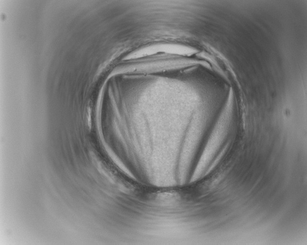 X0000054400067200508262242