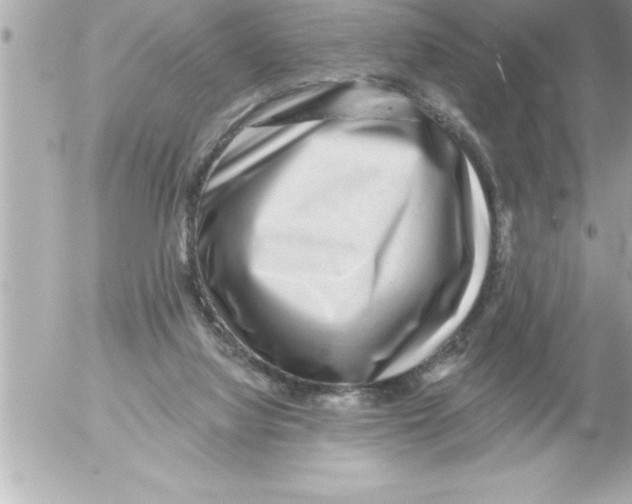 X0000054400068200508262242