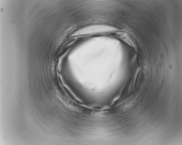 X0000054400072200508262242