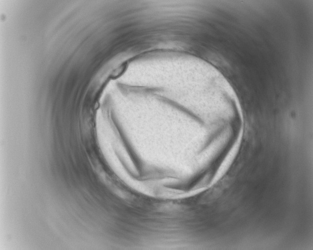 X0000054400098200508262241