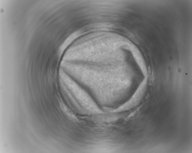 X0000054400099200508262241