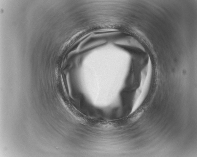 X0000054400113200508262241