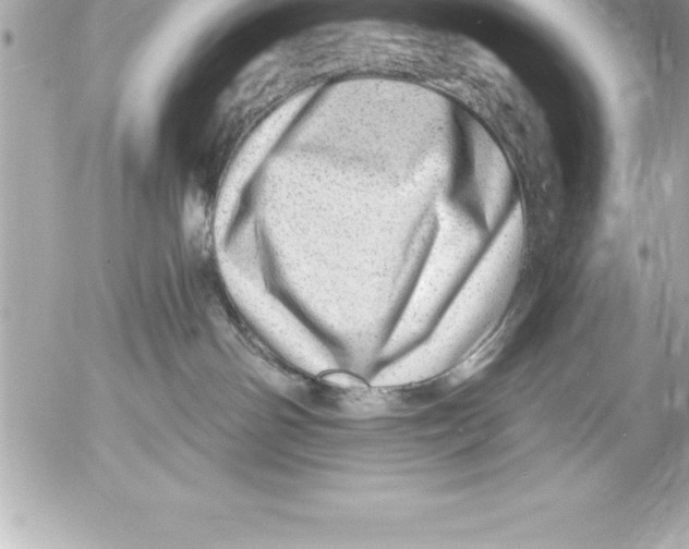 X0000054400142200508262241