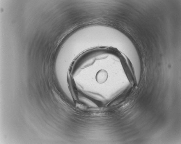 X0000054400164200508262240