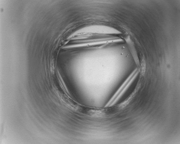 X0000054400170200508262240