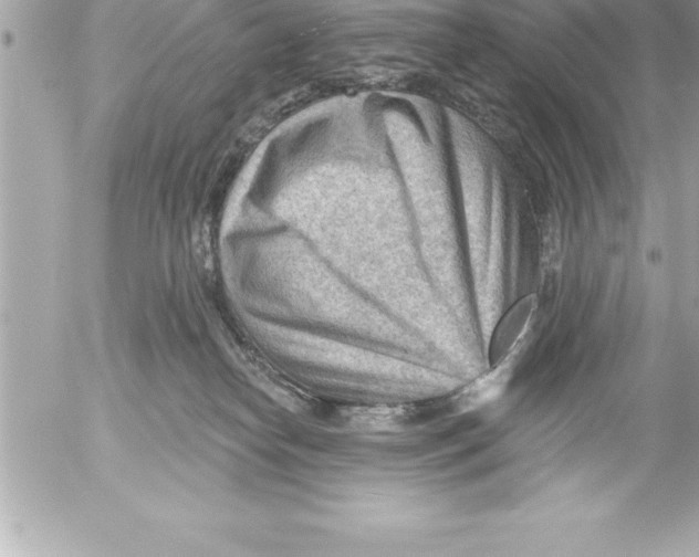 X0000054400182200508262240