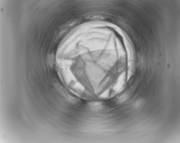 X0000054400189200508262240