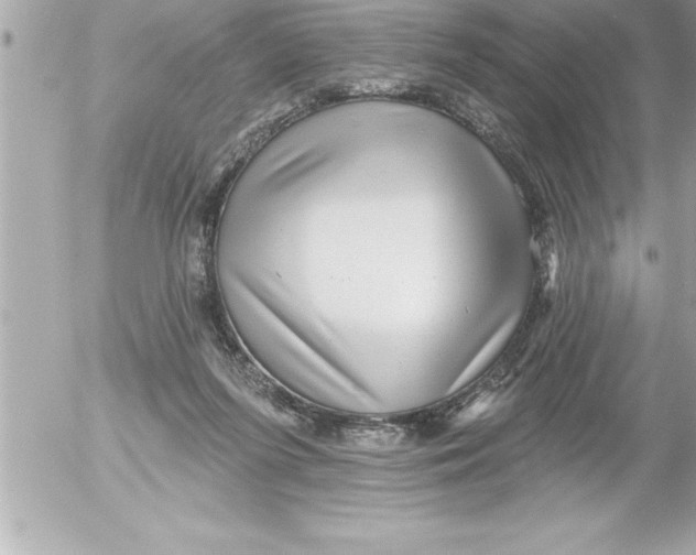 X0000054400215200508262239