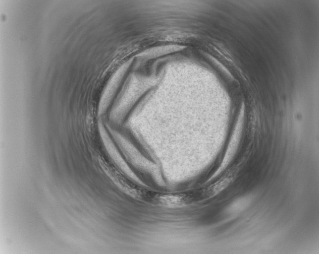 X0000054400265200508262239