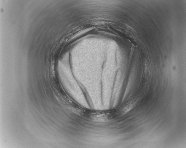 X0000054400267200508262239
