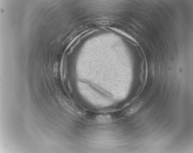 X0000054400271200508262239