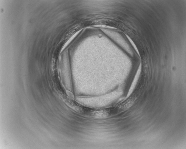 X0000054400275200508262239