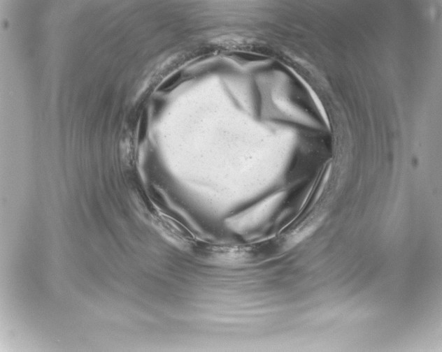 X0000054400288200508262239