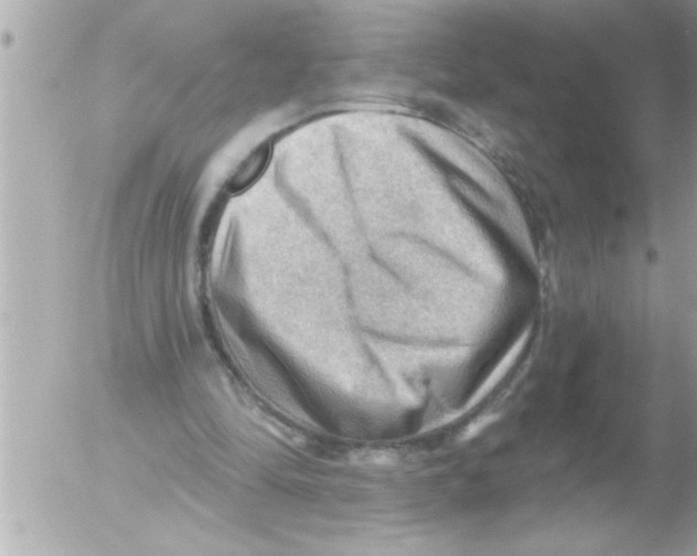 X0000054400294200508262238