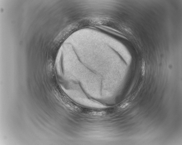 X0000054400314200508262238