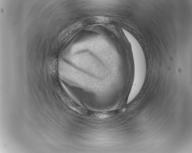 X0000054400325200508262237