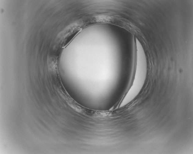 X0000054400329200508262237