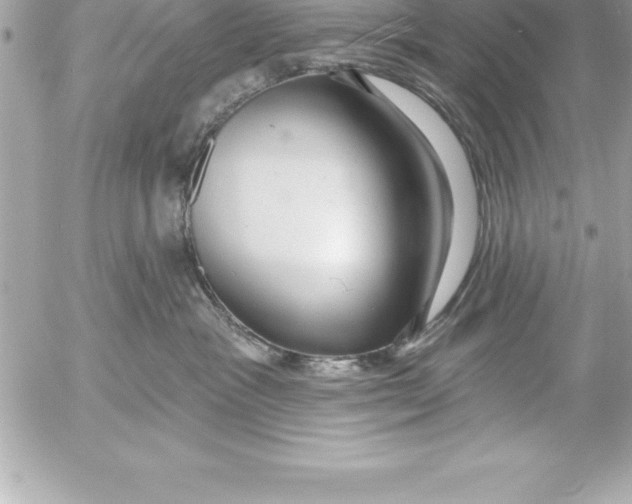 X0000054400333200508262237
