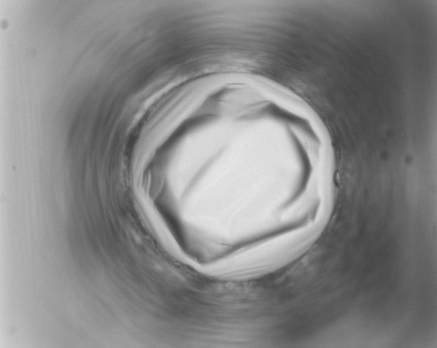 X0000054400338200508262236