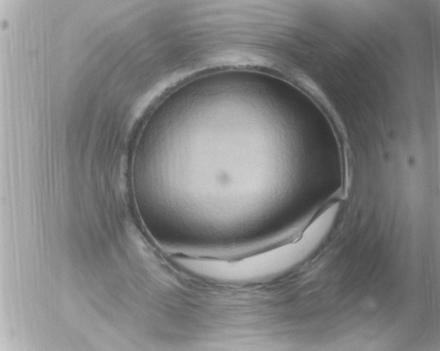 X0000054400387200508262236