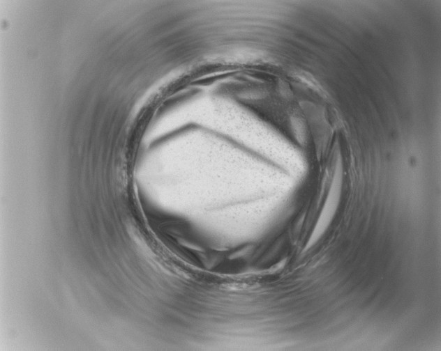 X0000054400392200508262236