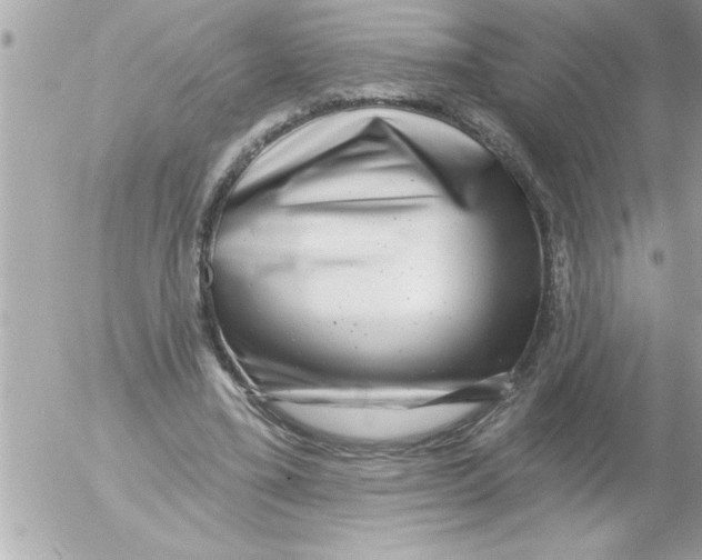 X0000054400395200508262236