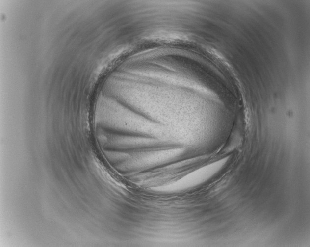 X0000054400399200508262236