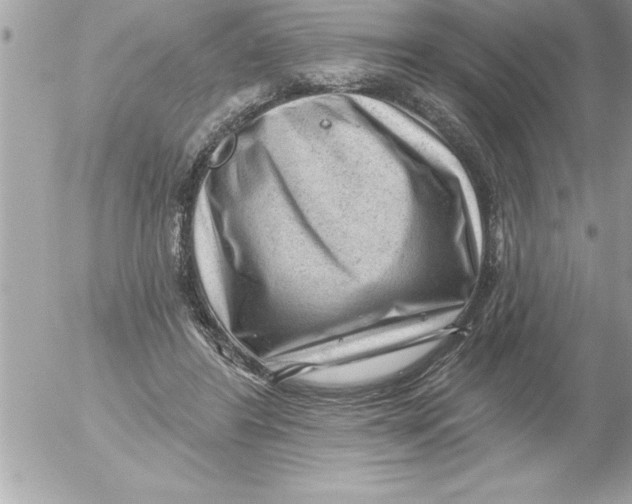 X0000054400404200508262236