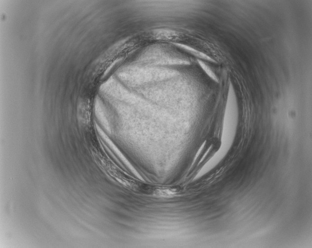 X0000054400413200508262236