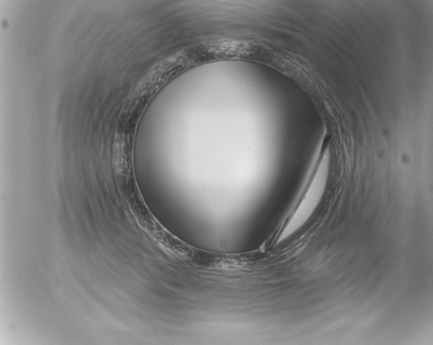 X0000054400416200508262236