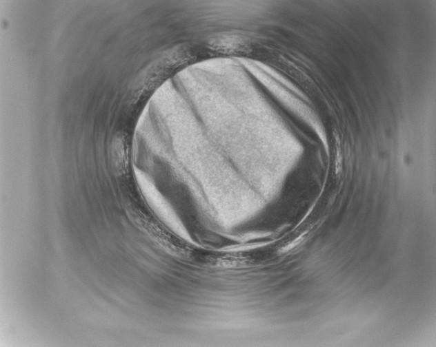 X0000054400420200508262236