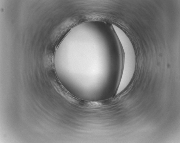 X0000054400429200508262236
