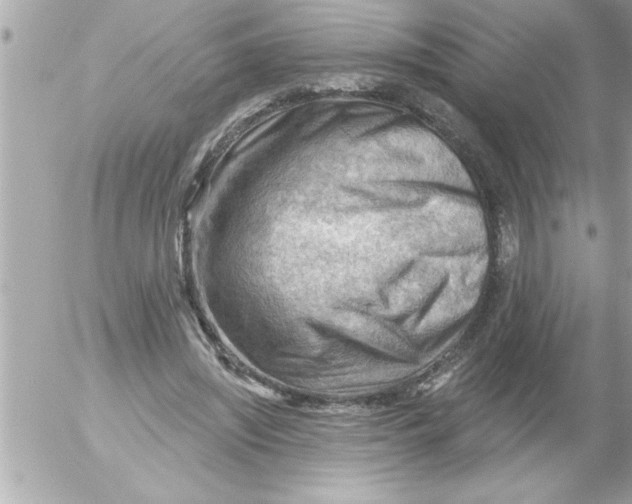 X0000054400444200508262235
