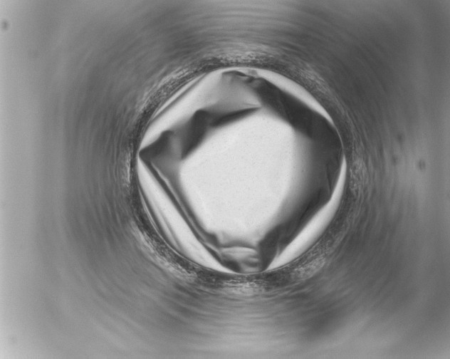 X0000054400454200508262235