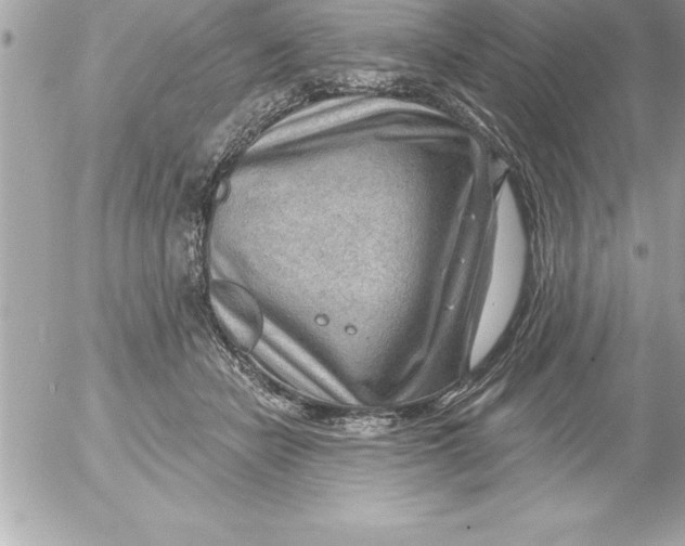 X0000054400462200508262235