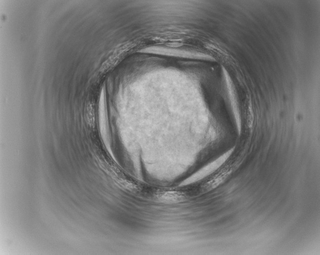 X0000054400467200508262235
